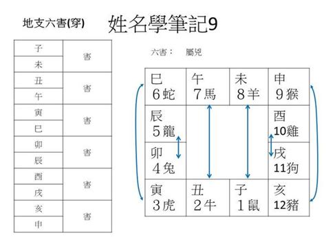 姓名學 地格|姓名學